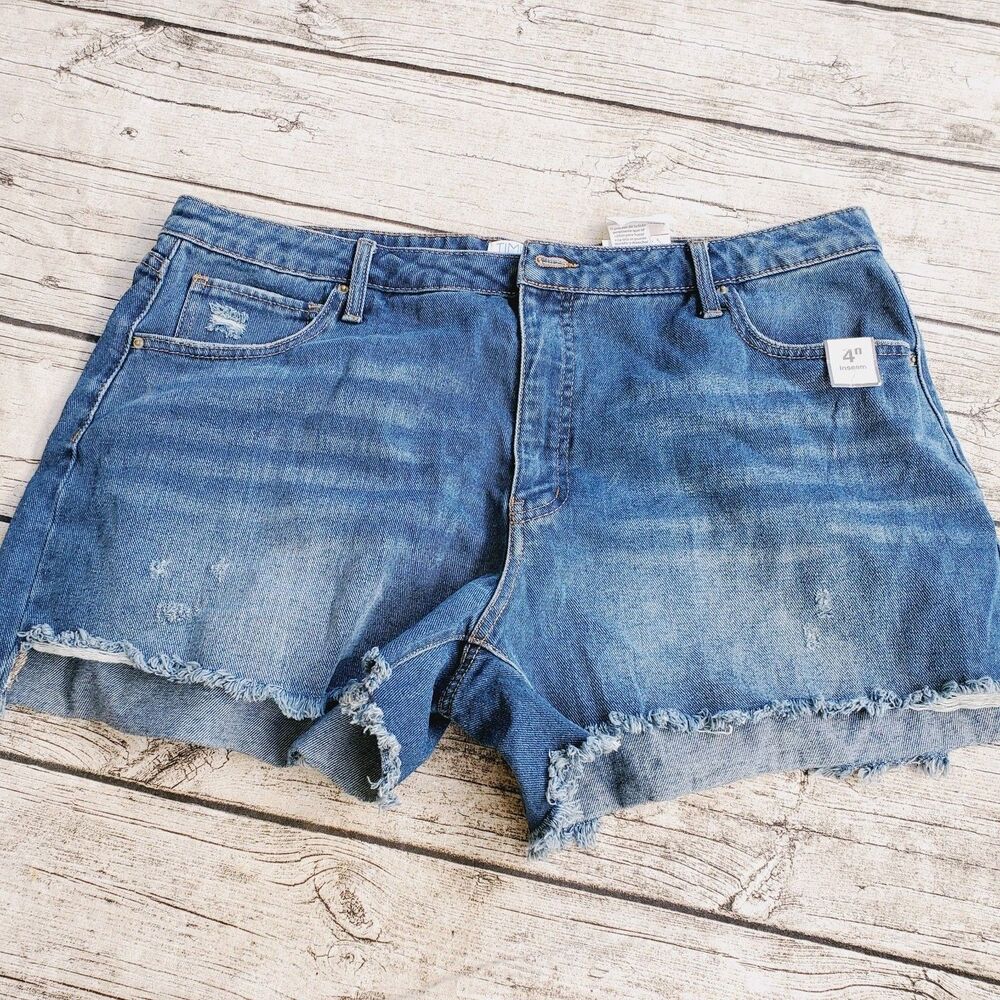 Time And Tru Shorts Size 20
